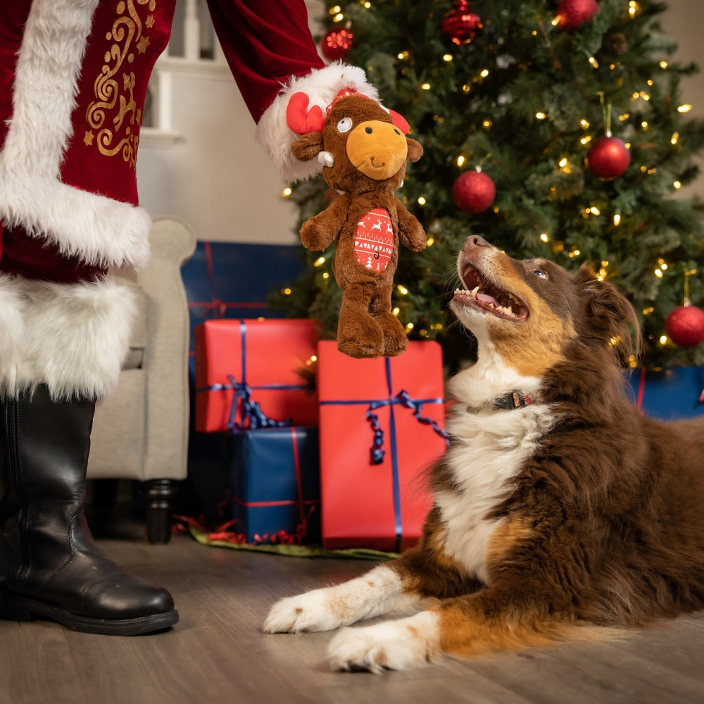 Slappies® Mistletoe Moose Dog Toy