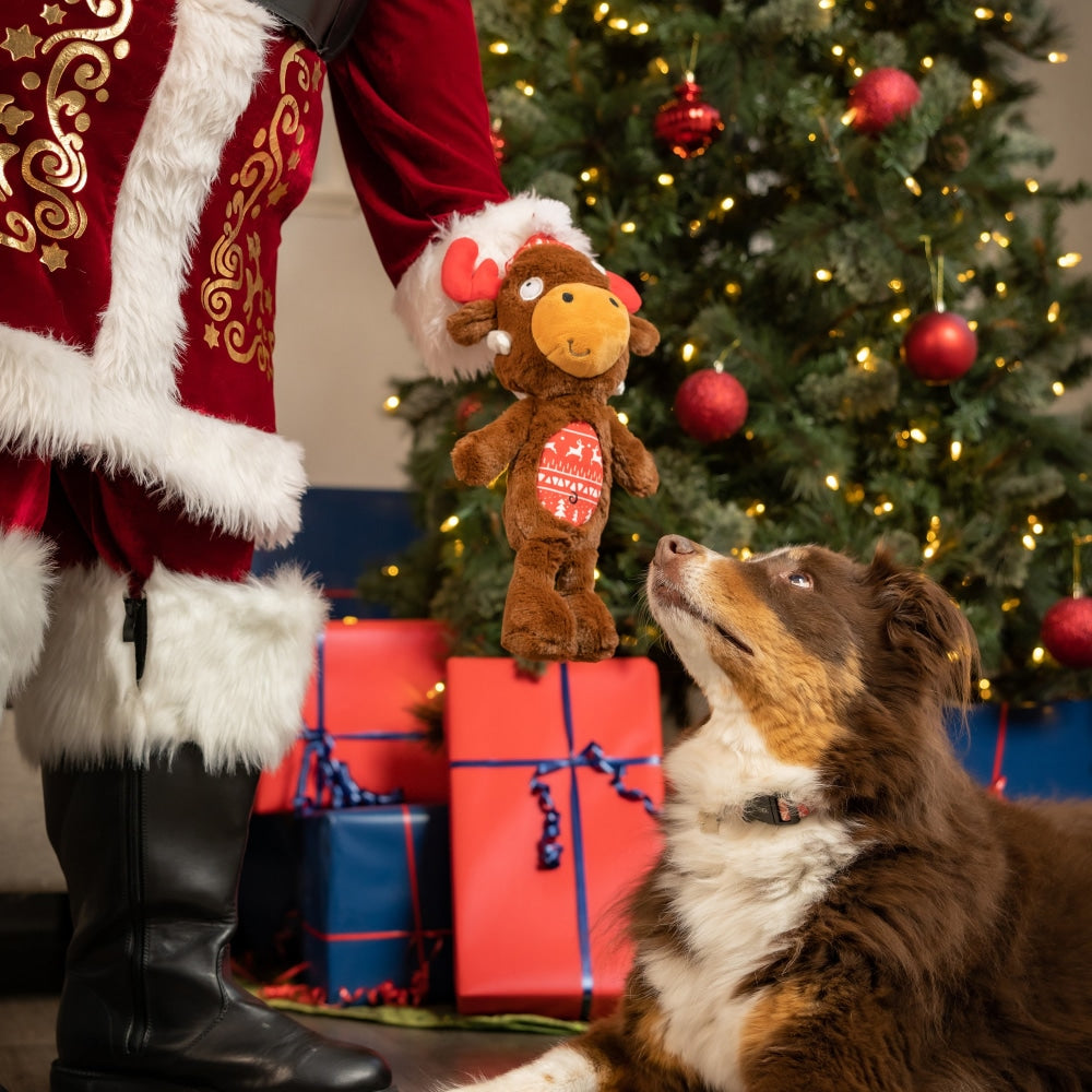 Slappies® Mistletoe Moose Dog Toy