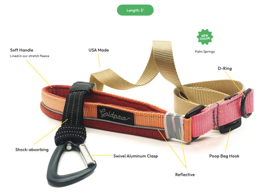 Featherweight Leash