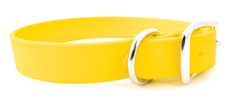 SPARKY'S STANDARD BUCKLE COLLAR