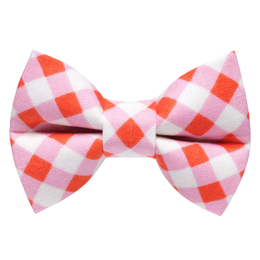 The New Neighbor - Bow Tie