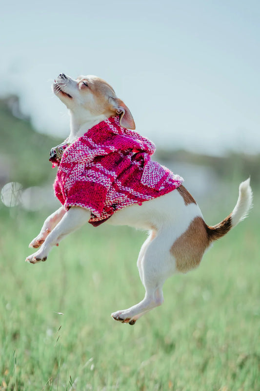Bella Ponchos