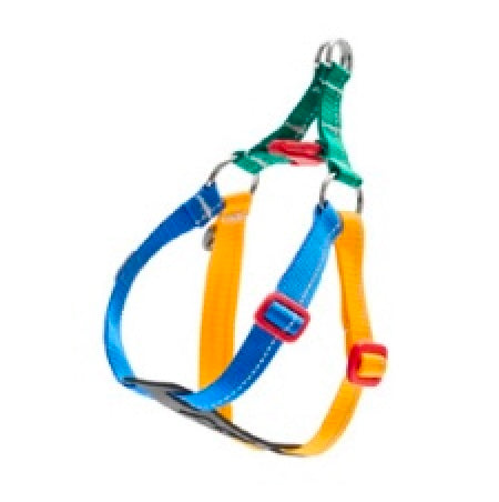 Colorful dog harness in blue, yellow, and green with red and black buckles