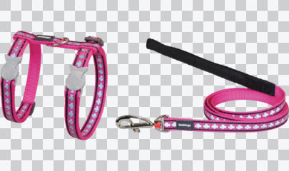 Cat Harness & Leads - Reflective