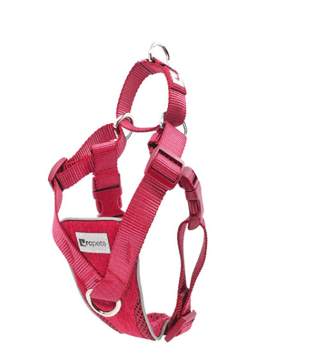 Tempo No Pull Harness