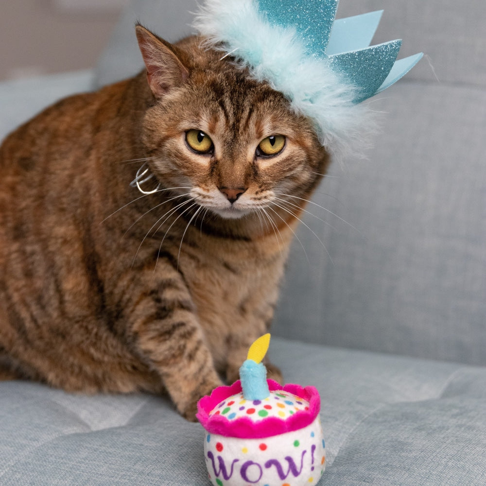 Party Crowns with SnugFit®