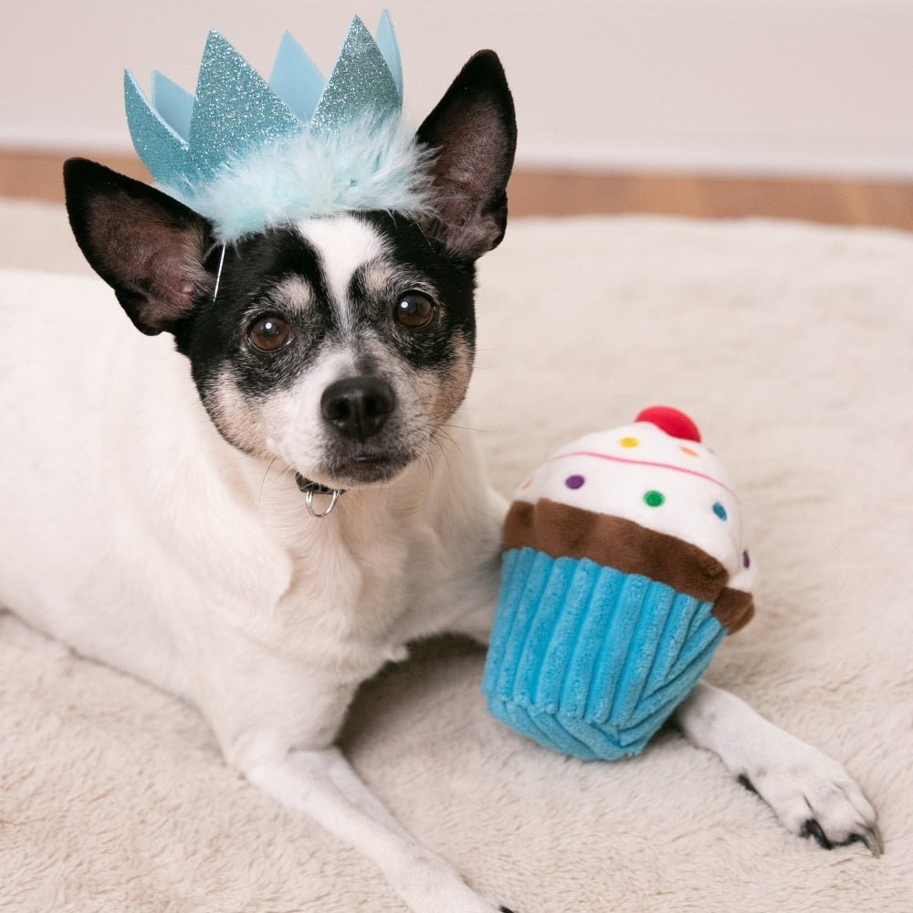 Party Crowns with SnugFit®