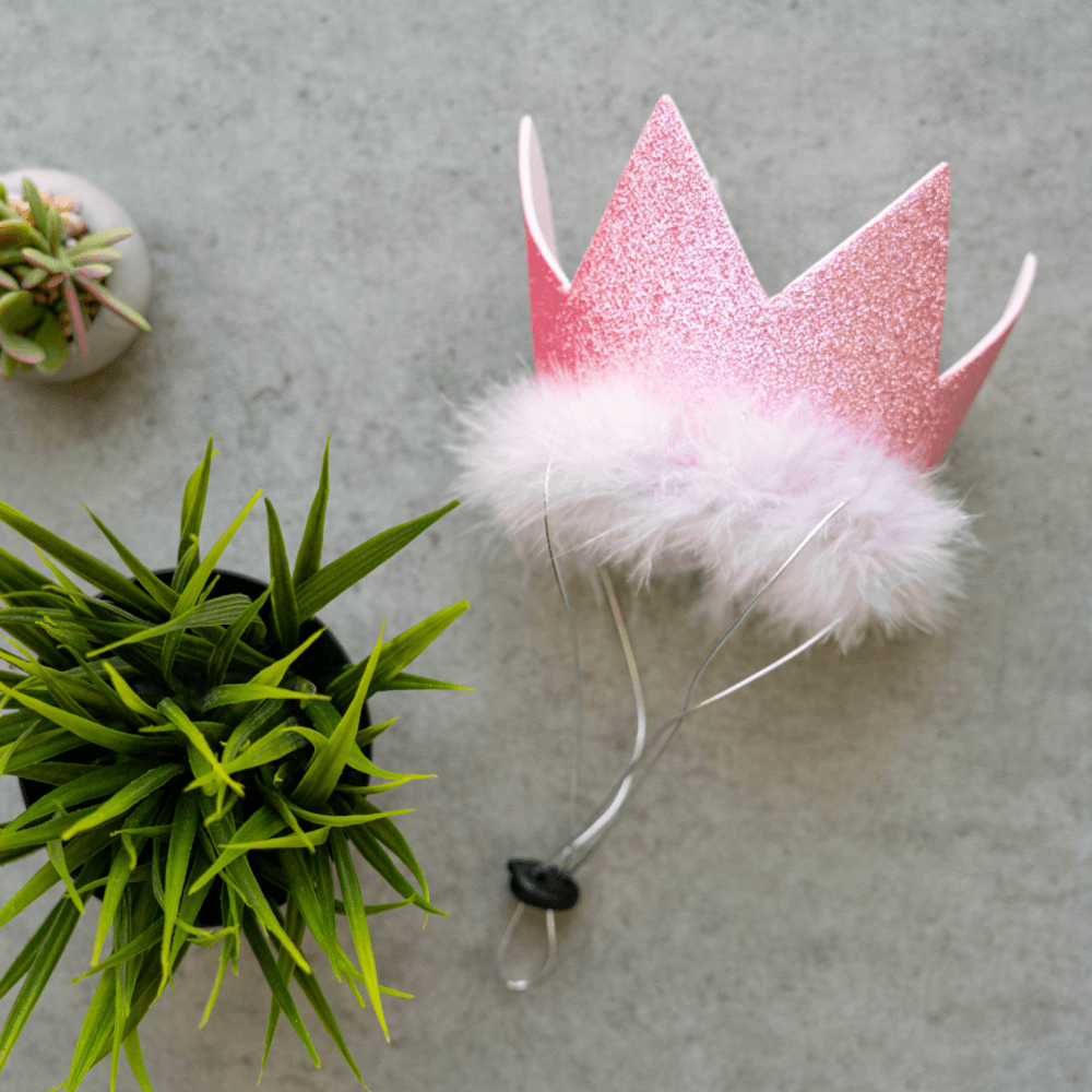 Party Crowns with SnugFit®