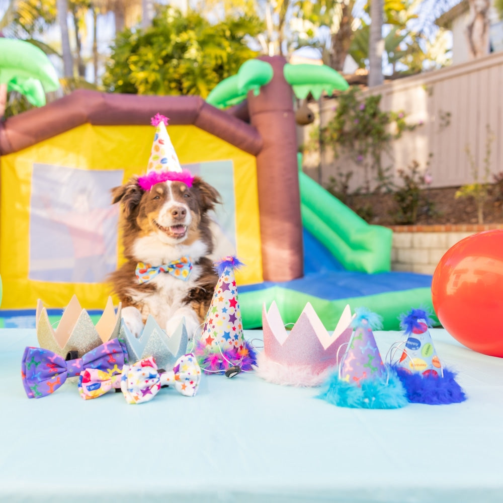 Party Crowns with SnugFit®