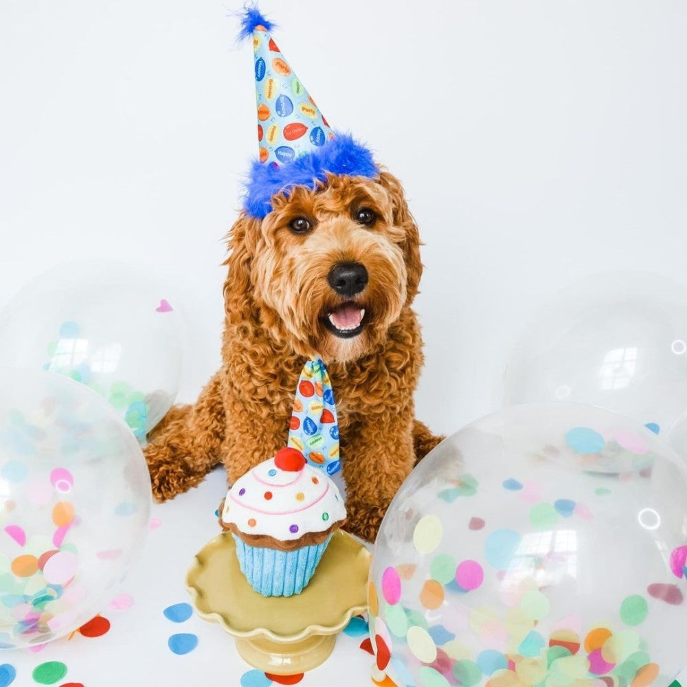 Party Hats with SnugFit®