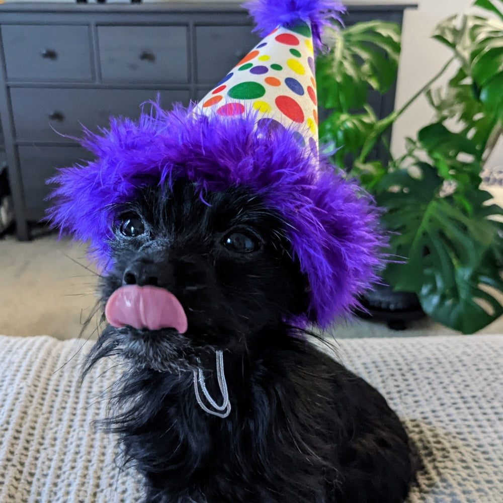 Party Hats with SnugFit®