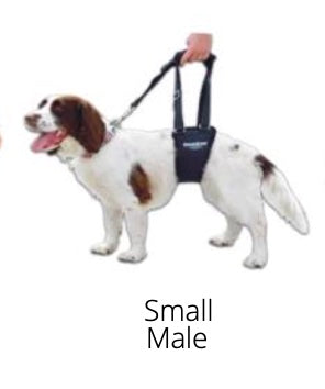 GingerLead- Dog Support & Rehabilitation Harnesses