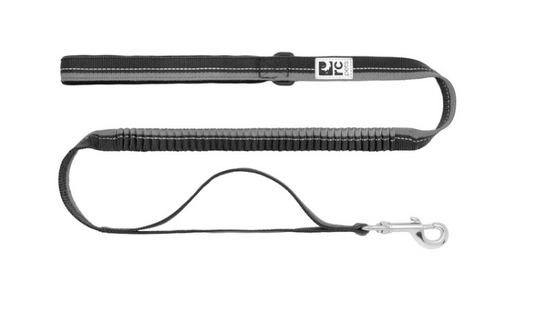 RC Pets black dog leash with reflective stitching and a silver clip