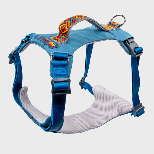 Monty Harness
