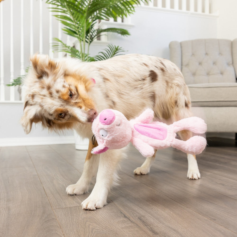 Slappies® Piggie Smalls Dog Toy - 30% Off