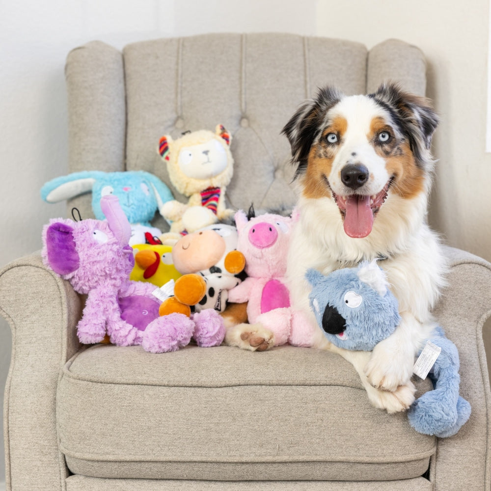 Slappies® Piggie Smalls Dog Toy - 30% Off