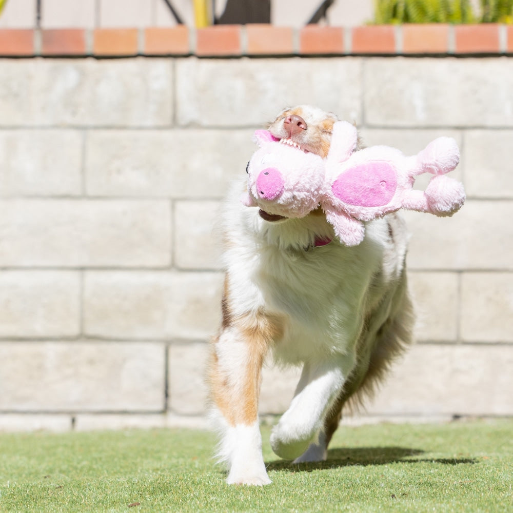 Slappies® Piggie Smalls Dog Toy - 30% Off