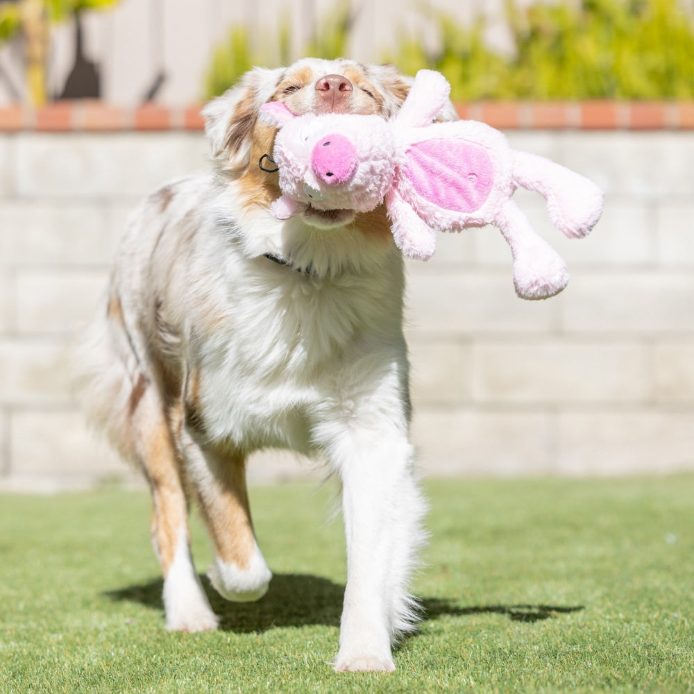 Slappies® Piggie Smalls Dog Toy - 30% Off