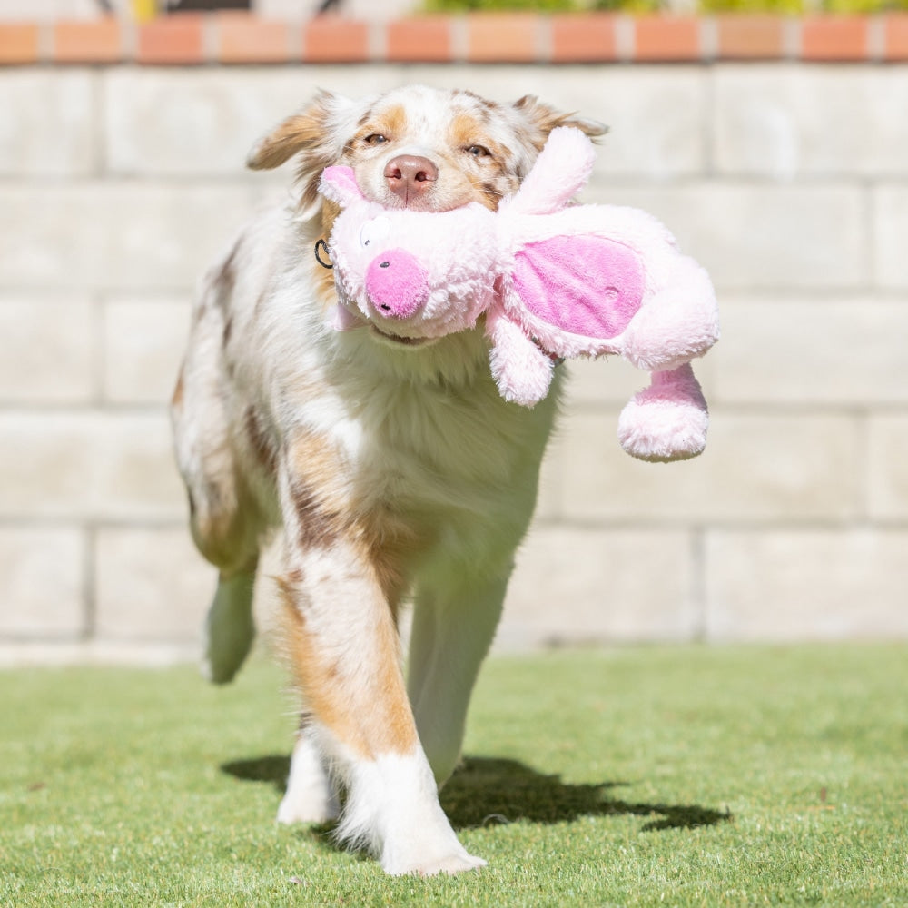 Slappies® Piggie Smalls Dog Toy - 30% Off