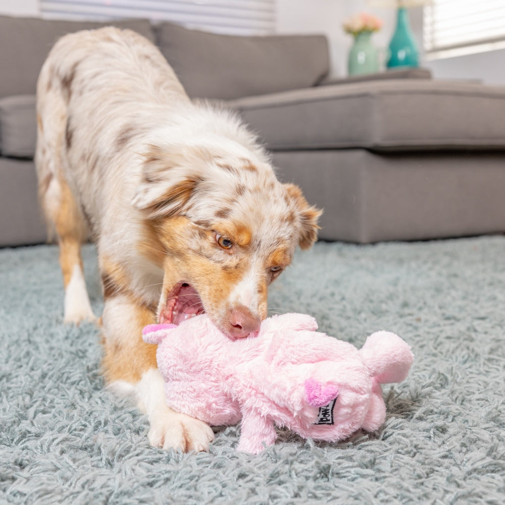 Slappies® Piggie Smalls Dog Toy - 30% Off