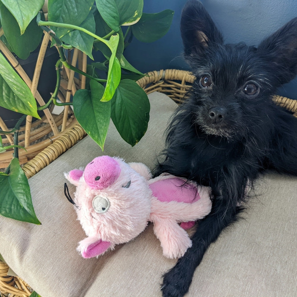 Slappies® Piggie Smalls Dog Toy - 30% Off