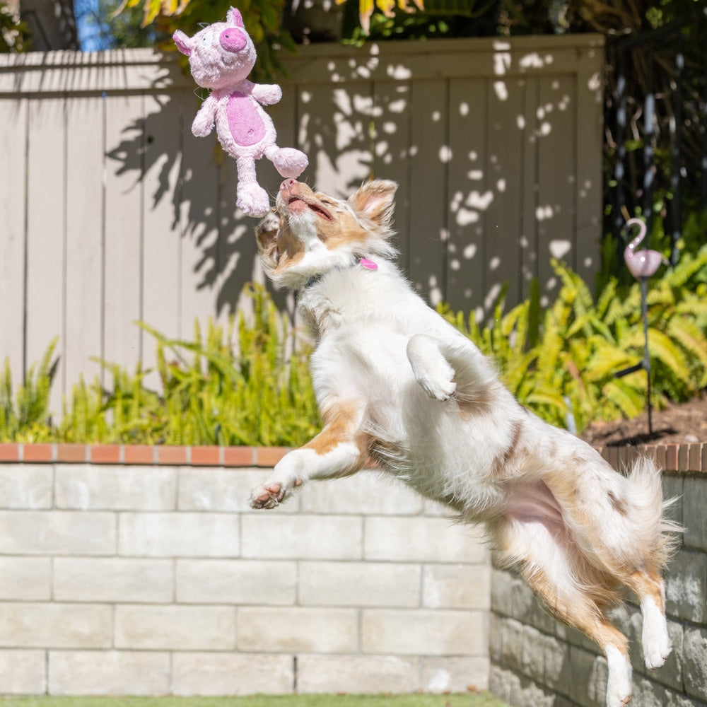 Slappies® Piggie Smalls Dog Toy - 30% Off