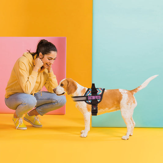 Woman in yellow hoodie crouching next to a beagle wearing a custom patch harness