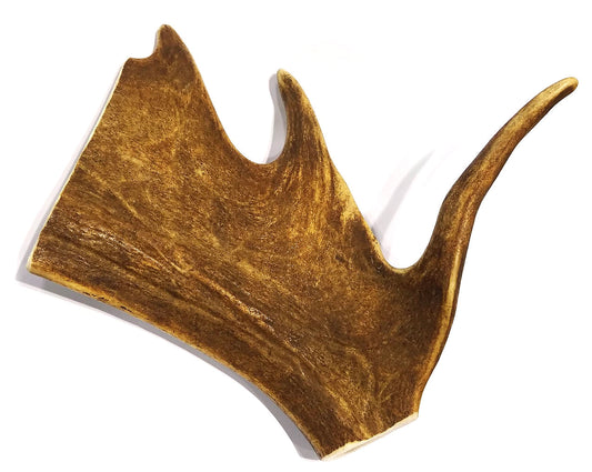 Power Paddle Deer Antlers - Large - EACH