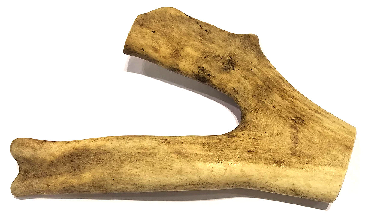Power Paddle Deer Antlers - Medium- EACH