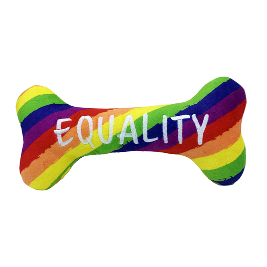 Pride Equality Bone Dog Toy