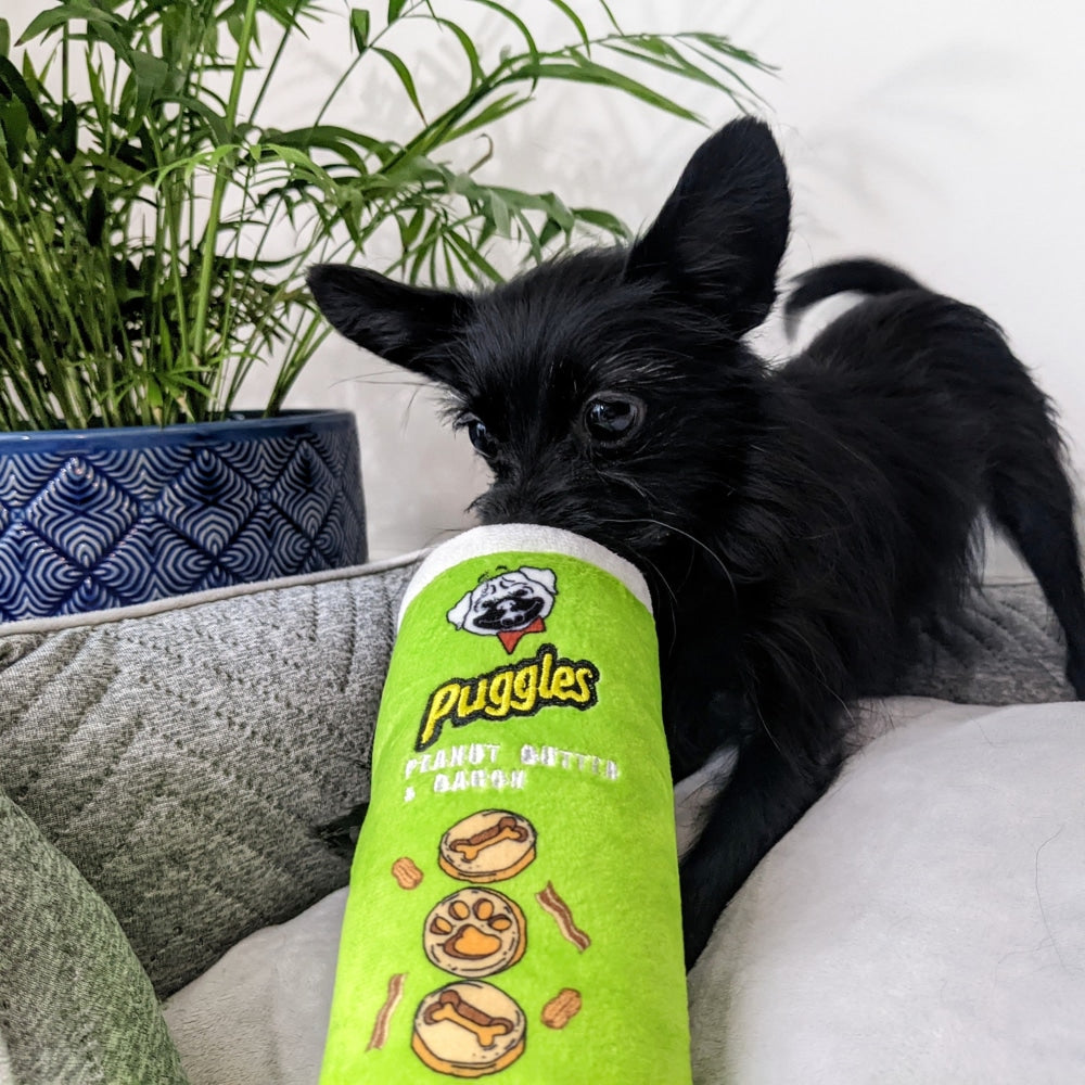 Puggles Can Dog Toy (Double Sided)