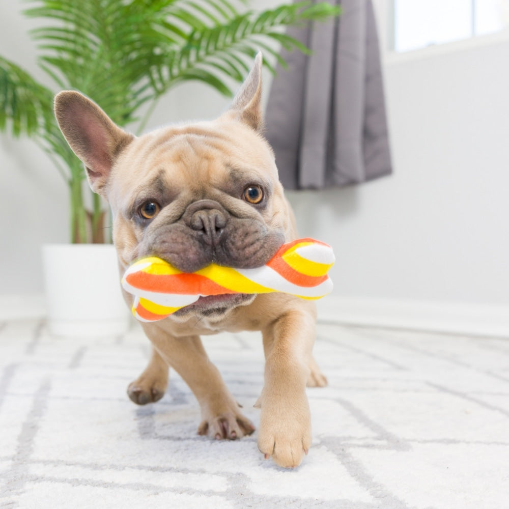 Tiny Tuff Pumpkin Treats 2pk