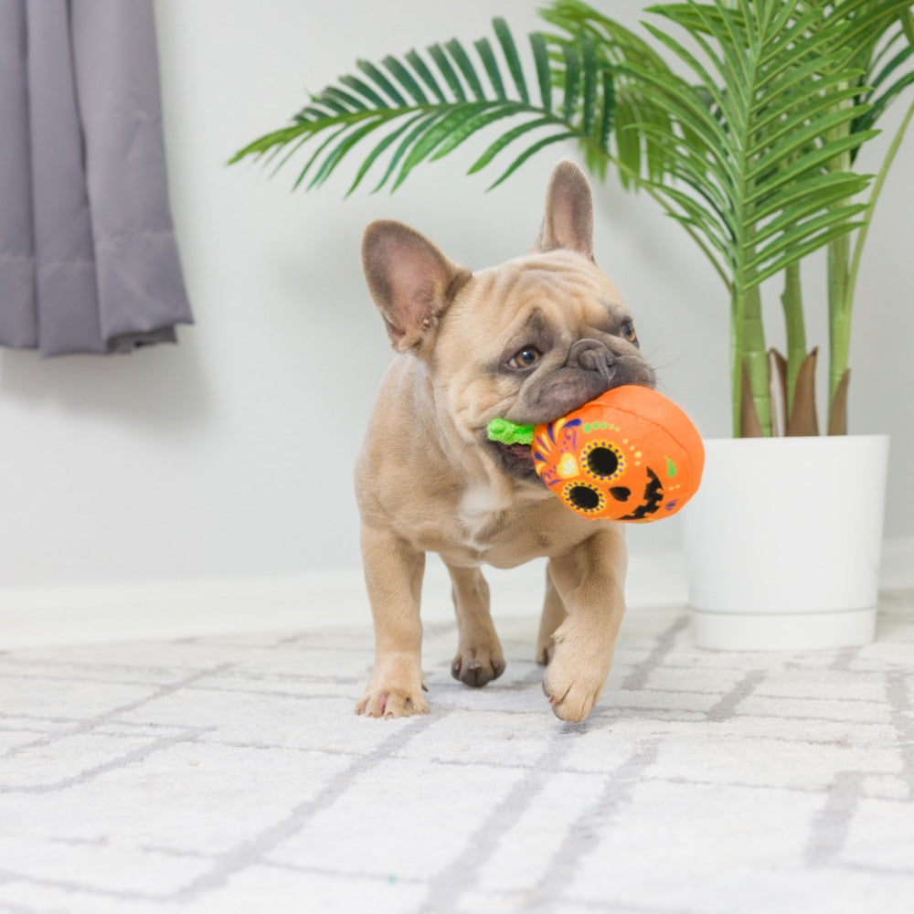 Tiny Tuff Pumpkin Treats 2pk
