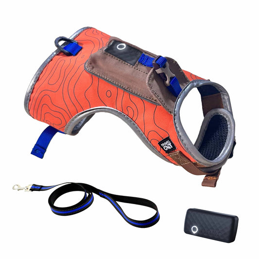 The Pathfinder Cat Harness with GPS Pocket and Leash