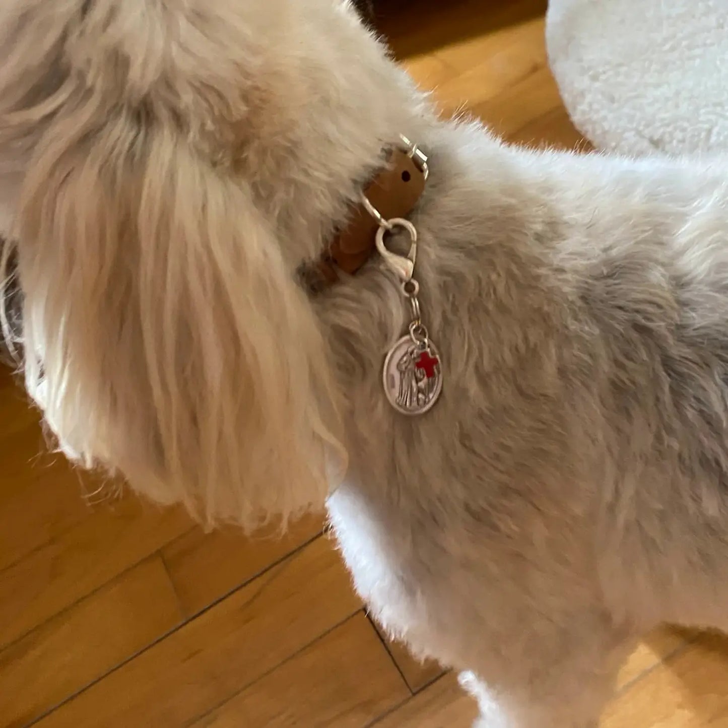 St. Francis Charm