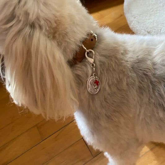 St. Francis Charm