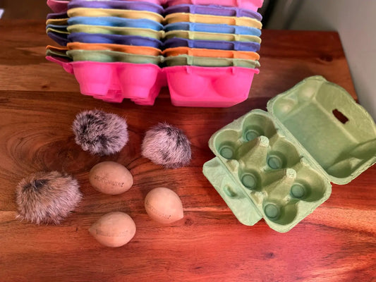 Egg Carton