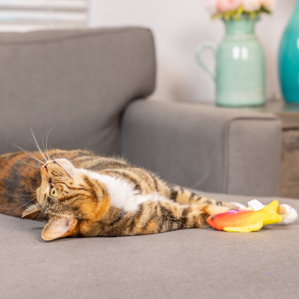 Rainbow Guppy Cat Toy