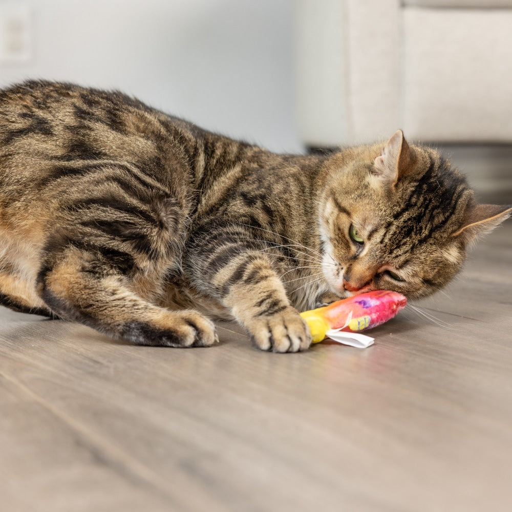 Rainbow Guppy Cat Toy