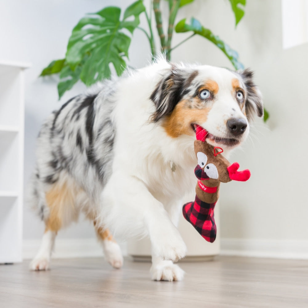 Reindeer Bone Dog Toy