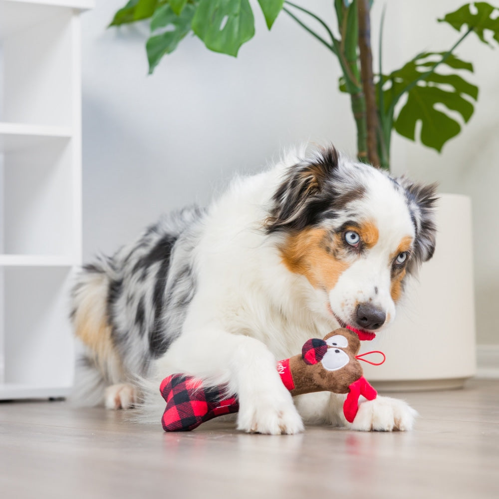 Reindeer Bone Dog Toy