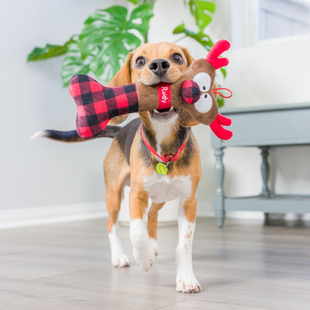 Reindeer Bone Dog Toy