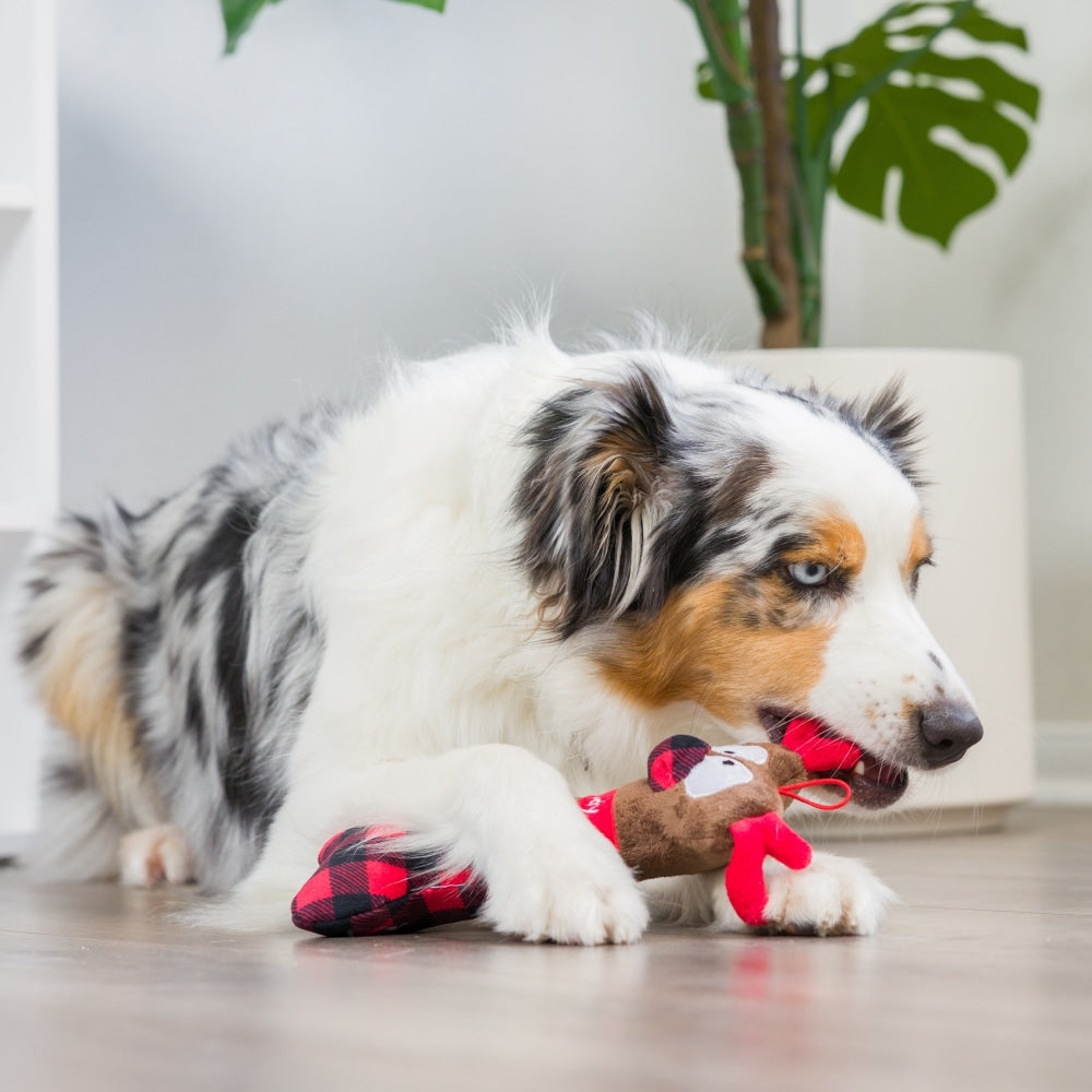 Reindeer Bone Dog Toy