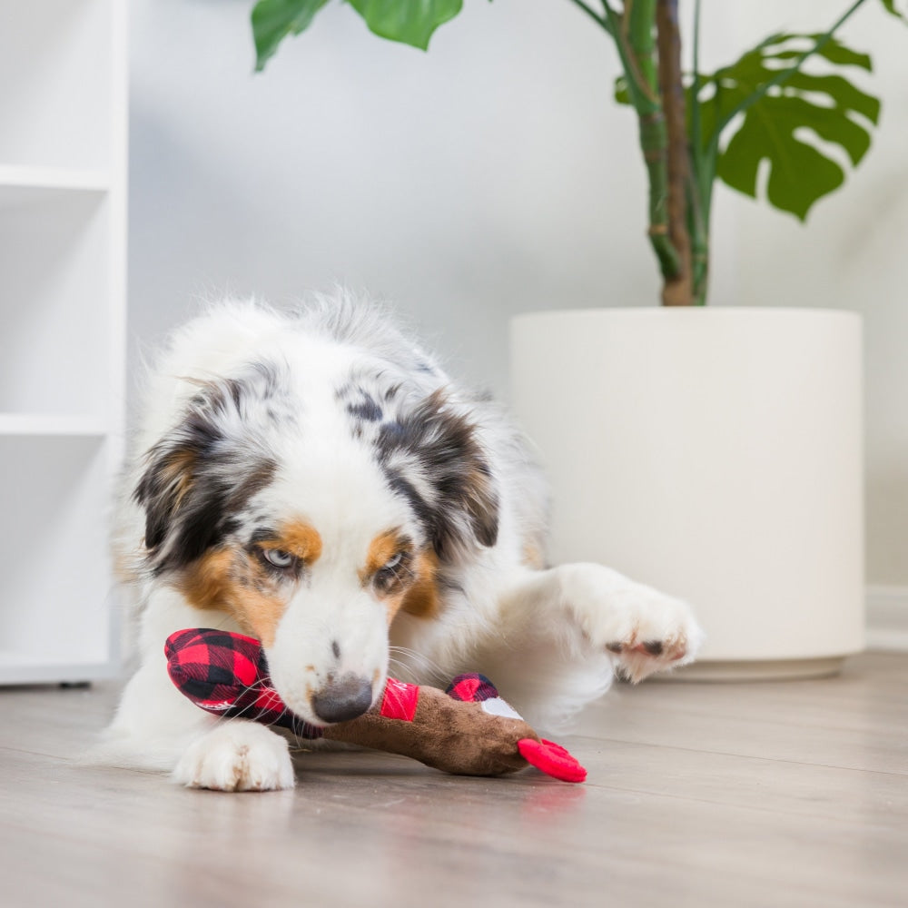 Reindeer Bone Dog Toy