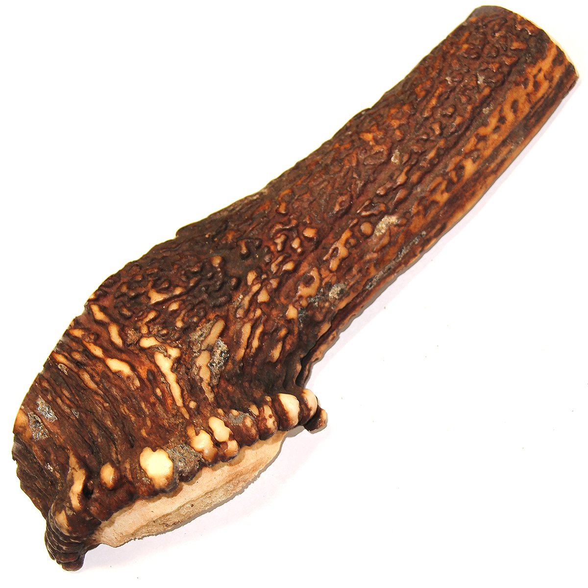 Royal Brown Deer Antler - Large Split - EACH