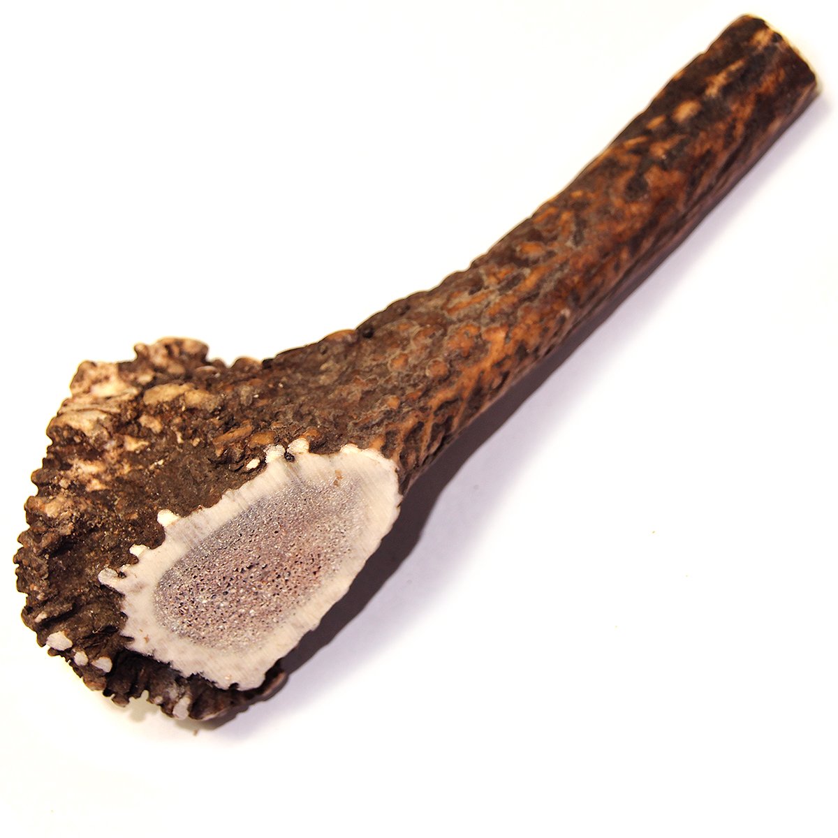 Royal Brown Deer Antler - Large Whole- EACH