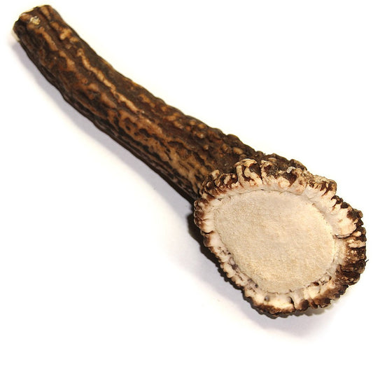Royal Brown Deer Antler - Large Whole- EACH