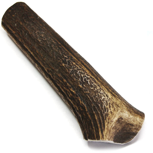 Royal Brown Deer Antler - Medium Whole- EACH