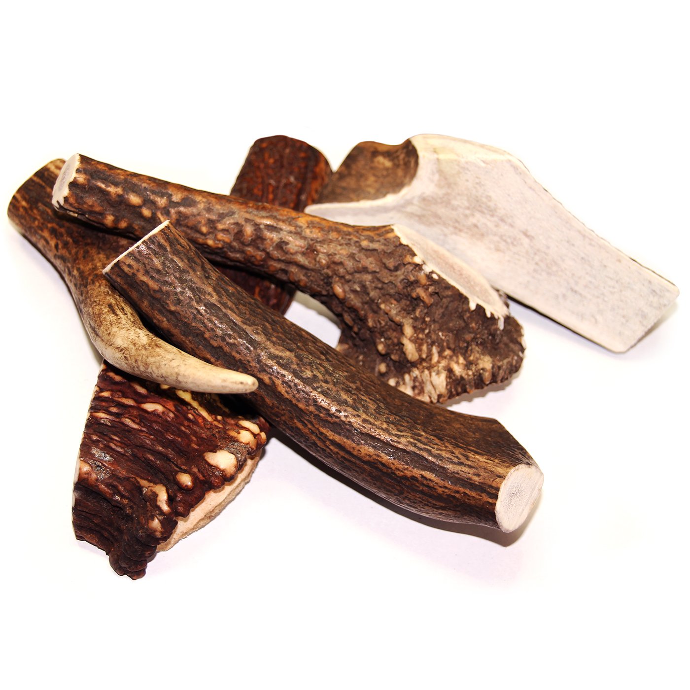 Royal Brown Deer Antler - Medium Whole- EACH