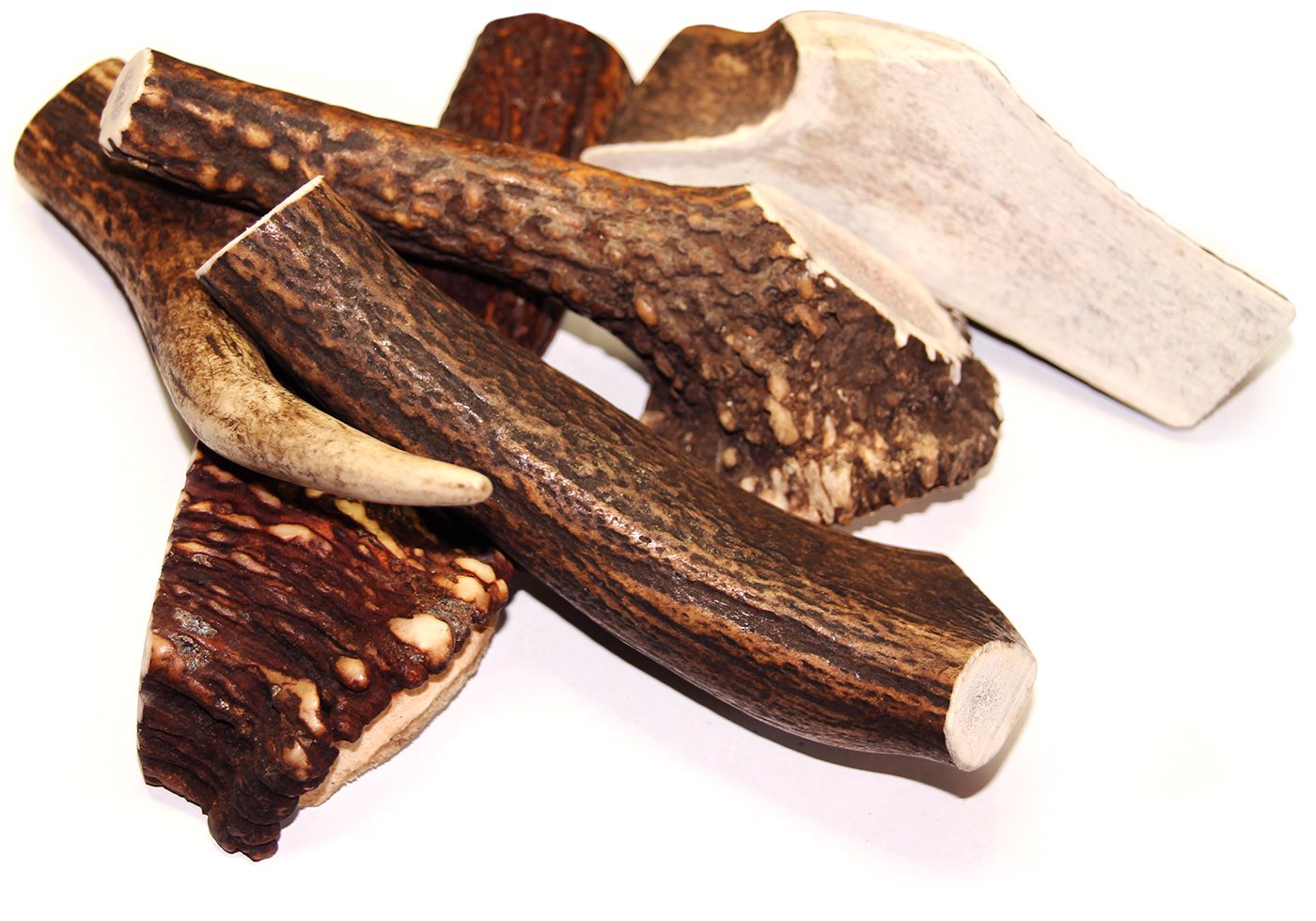 Royal Brown Deer Antler - Large Whole- EACH